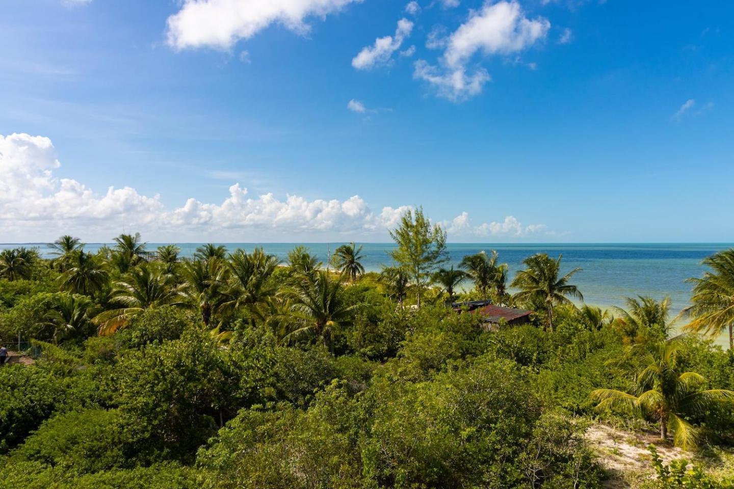 Beautiful Ocean View Penthouse With Private Pool -C301 Hotell Holbox  Eksteriør bilde